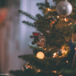 Holiday Gifting 2025: Why Now Is the Time to Plan Your Corporate Gifts